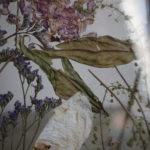 Amizade – Image 3